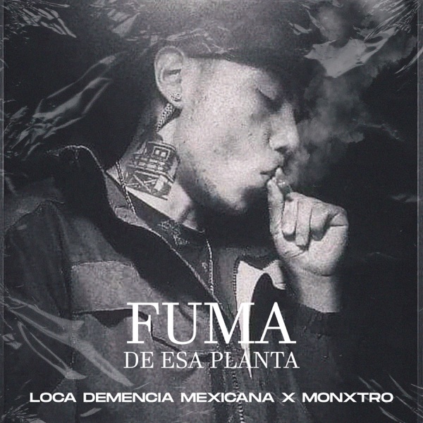 Fuma de Esa Planta