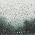 Deep Forest Rain
