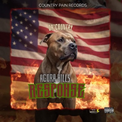 Agora Hills Response Cover Song - Single