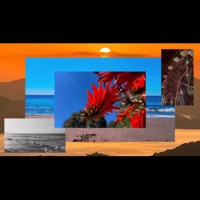 with ü (feat. .JOSIAH & Mazino the Guide) - Single - Cozy Cowboys