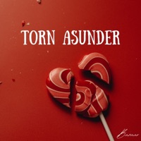 Torn asunder (feat. Equinox) - Single - Bazaar