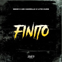 Finito (feat. Ari Carrillo, Seor & Litzi Kure) - Single - Real G Promotions