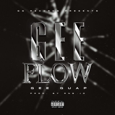 Gee Flow - Single
