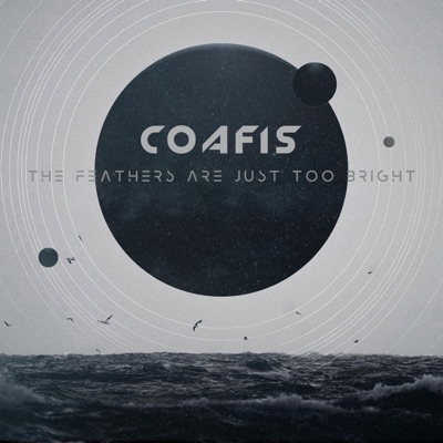 The Feathers Are Just Too Bright - Single