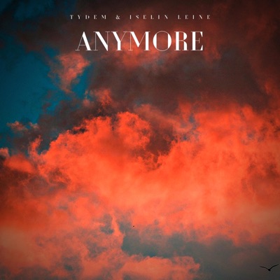 Anymore - Single
