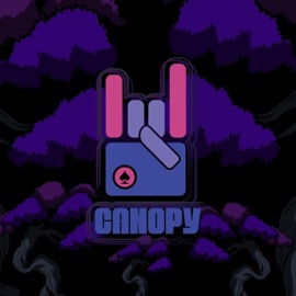 Possibilities Canopy