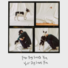 Your Dog Loves You (feat. Crush) - Colde