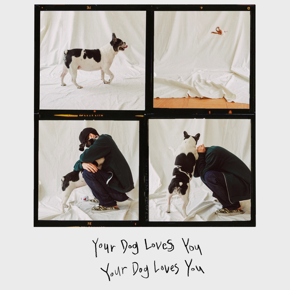 Colde – Your Dog Loves You (Feat. Crush) – Single