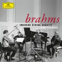 String Quartet No. 2 in A Minor, Op. 51, No. 2: I. Allegro non troppo — Emerson String Quartet