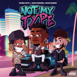 Not My Type (feat. Zion Kuwonu & David Burns) Young Keta