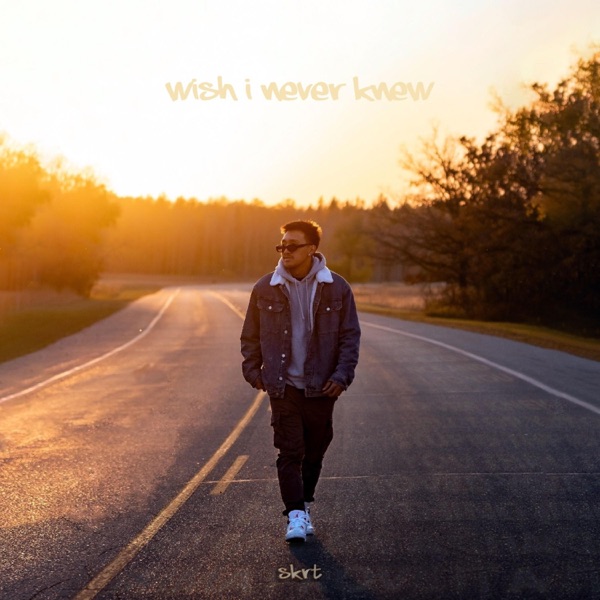 Wish I never knew