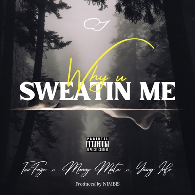 Why u Sweatin Me (feat. Young Info & Manny Mata) - Single