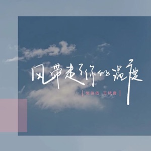 风带走了你的温度 - Single