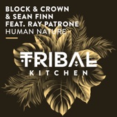 Human Nature (feat. Ray Patrone) [Extended Mix] artwork