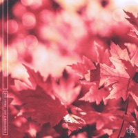 That Swing - Single - CRFT & Middleneck