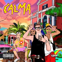 Calma (feat. Omizs) - Single - ARON, Mc Dede & Lyvinte