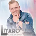 Ik zing en dans
