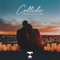 Collide (feat. Kyle Zeman) - Aaron Lindt lyrics