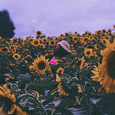 Sunshine (Radio Edit) - Single