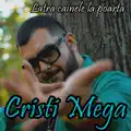Latra cainele la poarta