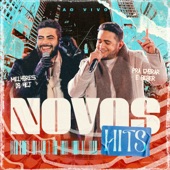 Novos Hits (Ao Vivo) artwork