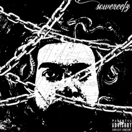 WARRIORS (feat. Fadingangel & IHYNUMB) Sowereefz