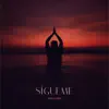 Zulima Cerda - Sígueme