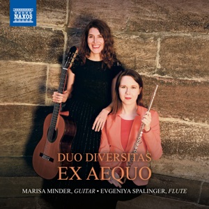 Duo for Violin & Viola in G Major, K. 423 (Arr. E. Fisk for Flute & Guitar): II. Adagio