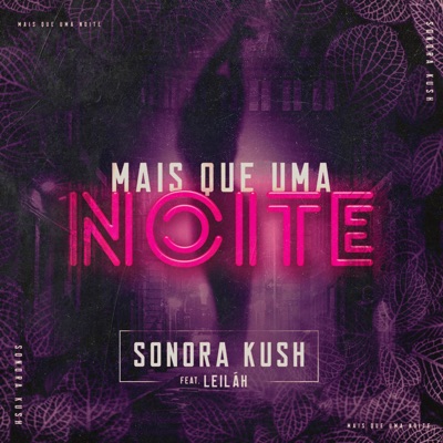 Mais Que Uma Noite (feat. Leiláh) - Single