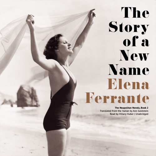 The Story of a New Name (Neapolitan Novels, #2) cover