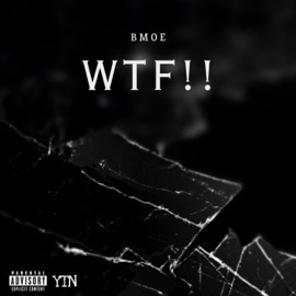 WTF (Freestyle) (feat. annuta) BMOE