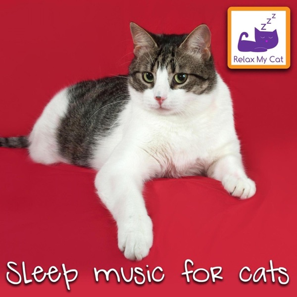 Sleep Music for Cats