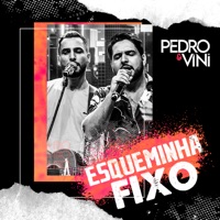 Esqueminha Fixo - Single - Pedro e Vini