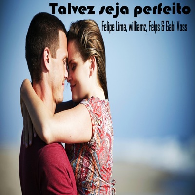 Talvez Seja Perfeito - Single