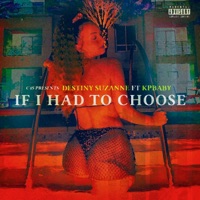 If I Had To Choose (feat. KpBaby) [Radio Edit] - Single - Destiny Suzanne