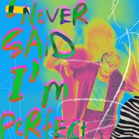 I never said I m perfect