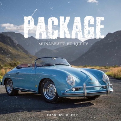 Package (feat. Klefy) - Single