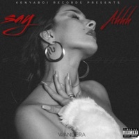 Say Ahhh - Single - Wandera