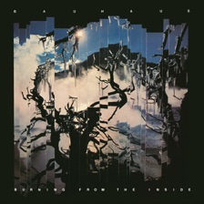 She's in Parties by Bauhaus — cover art