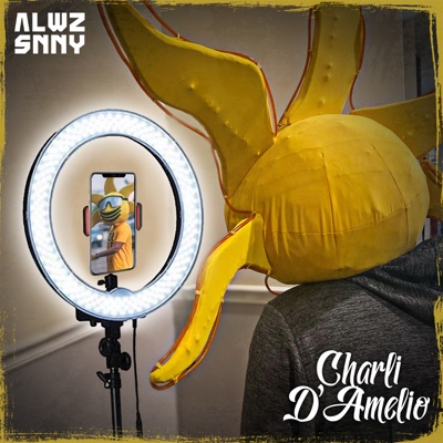 Charli D'Amelio - Single