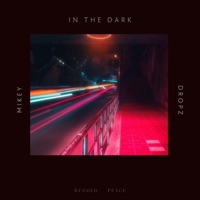 In The Dark - Single - Mikey Dropz