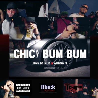 CHICA BUMM BUMM (feat. WILDBOY 9) - Single