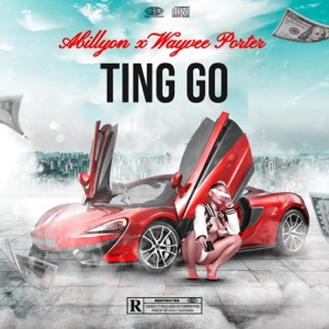 Ting Go (feat. WayveePorter) - Single