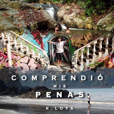 Comprendió Mis Penas - Single