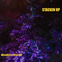 Stackin Up (feat. Spell boy) - Single - Wellgolly