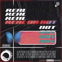 Real or Not (feat. Charlie Wayy) - Single - Zoned