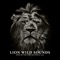 African Music 2019 - Relaxation Session Zone lyrics