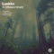 Shadow's Edge - Luekko lyrics