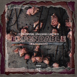 Expendable (feat. Bearded Legend & Billy Martin) Torchfvce