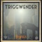 Dense - triggwender lyrics